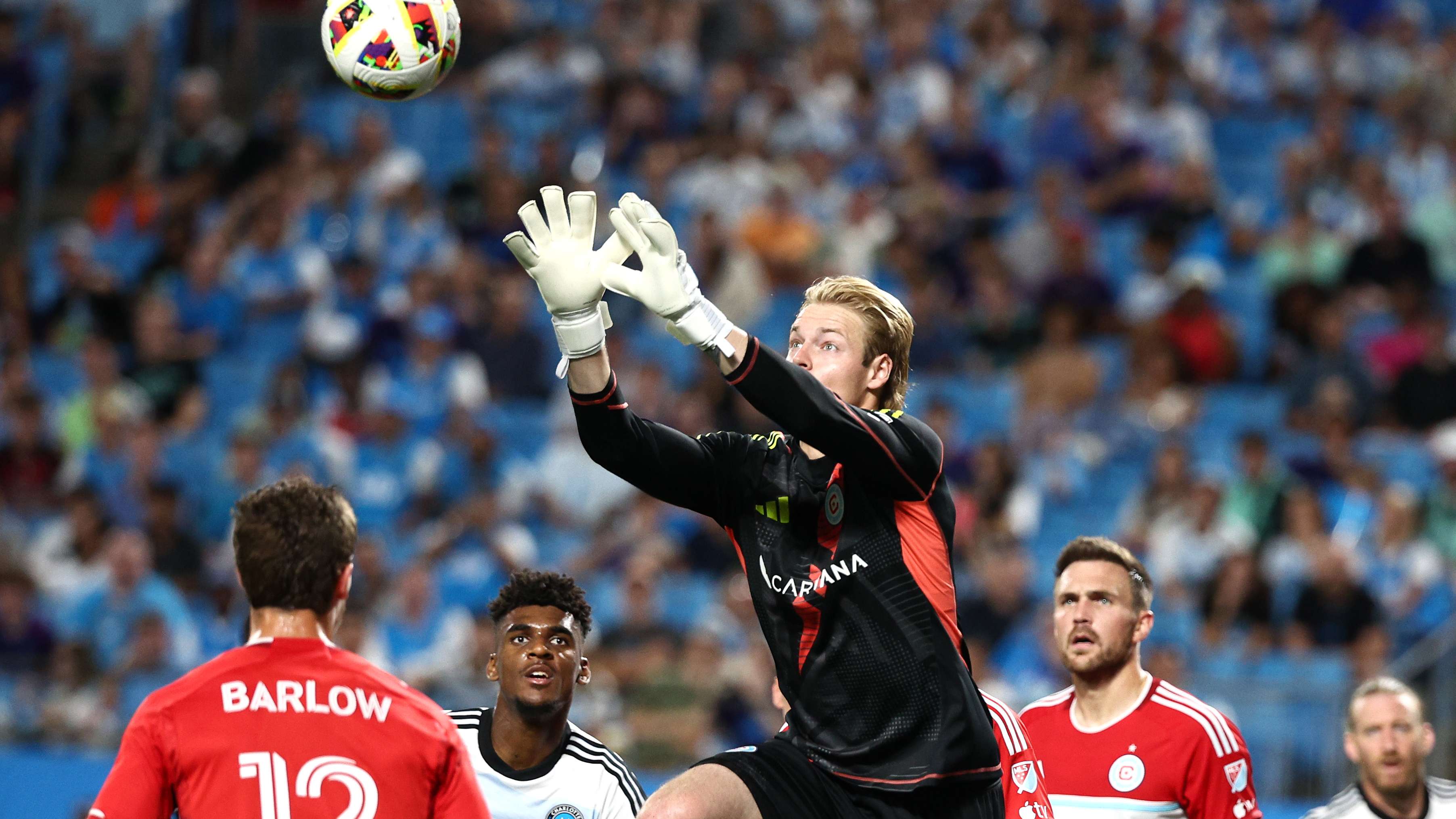 动提供支持 动提供支持